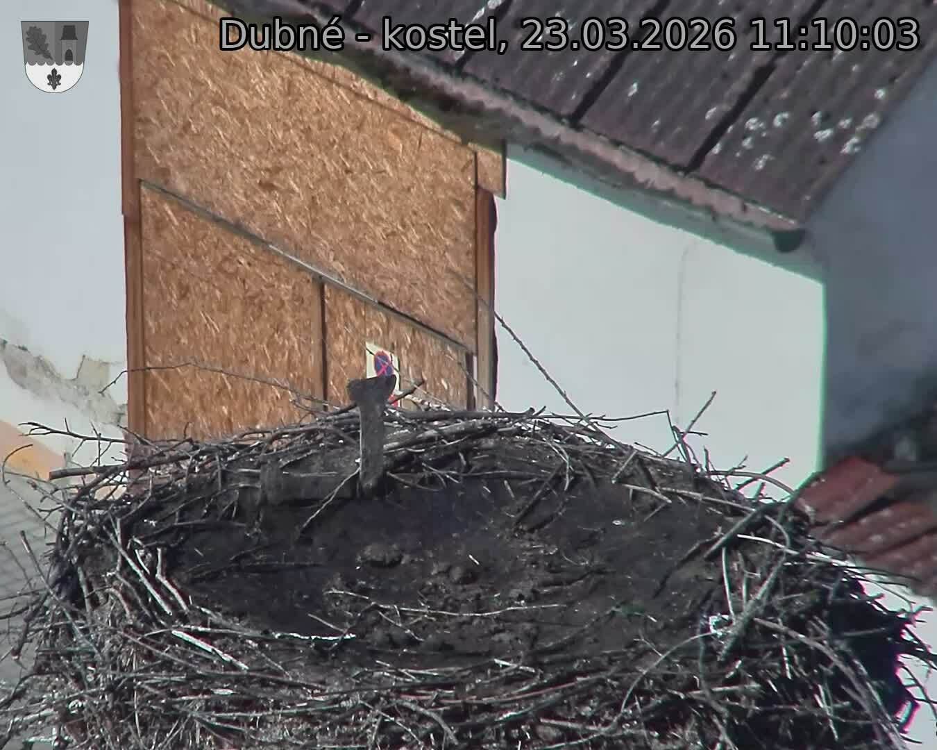 Capi_Dubne_20260323_111003.jpg (1350&nbsp;x&nbsp;1080)