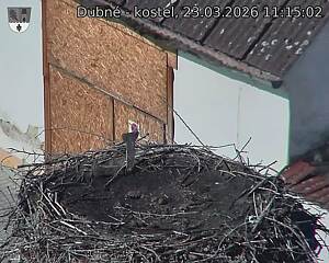 Capi_Dubne_20260323_111502.jpg (1350&nbsp;x&nbsp;1080)