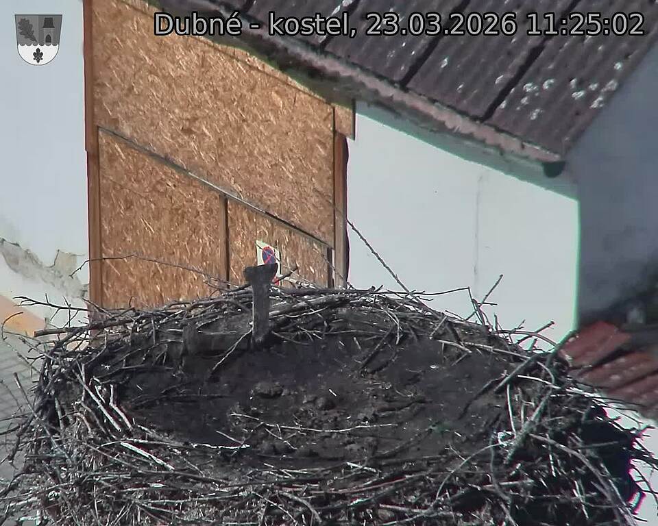 Capi_Dubne_20260323_112502.jpg (1350&nbsp;x&nbsp;1080)