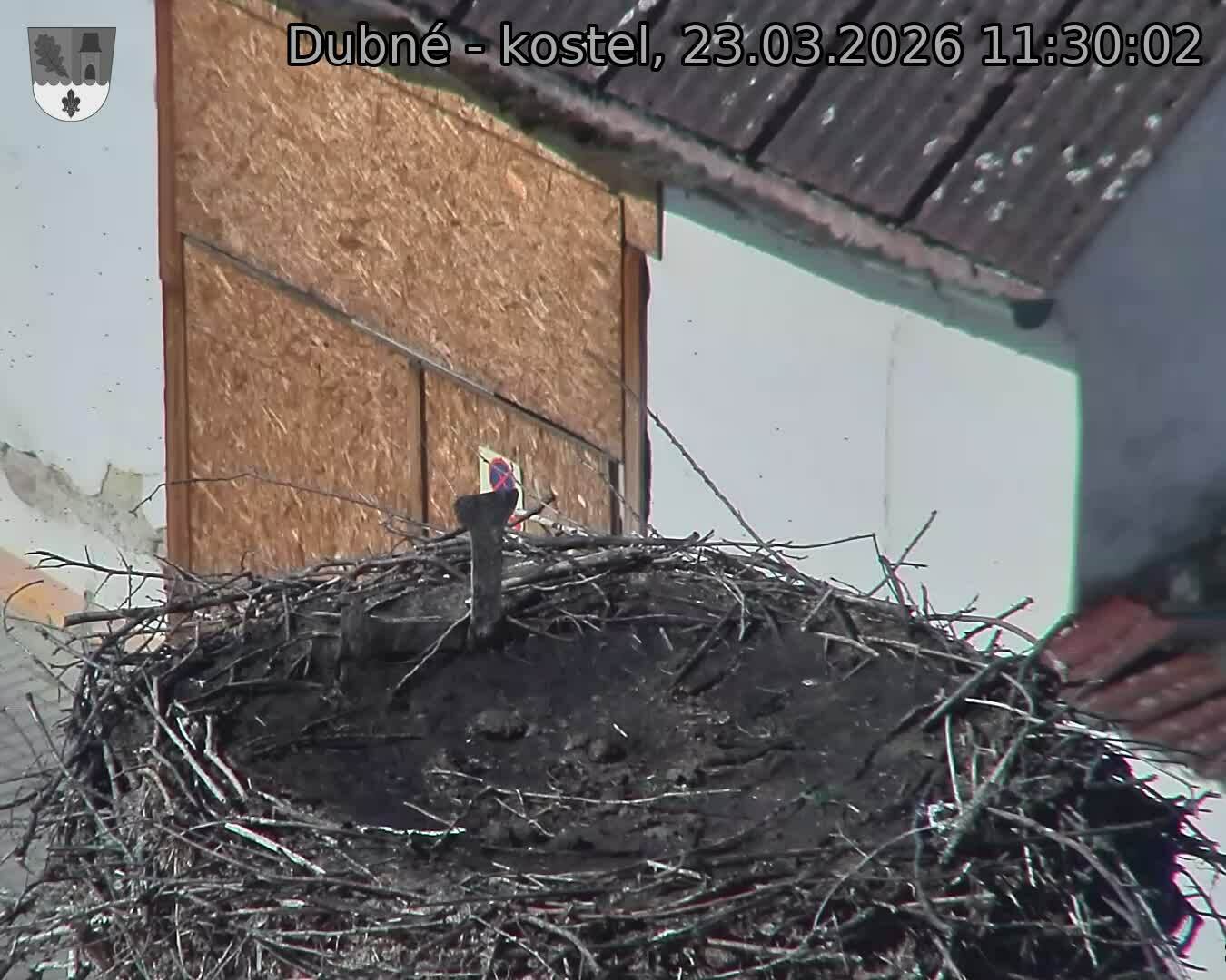 Capi_Dubne_20260323_113002.jpg (1350&nbsp;x&nbsp;1080)