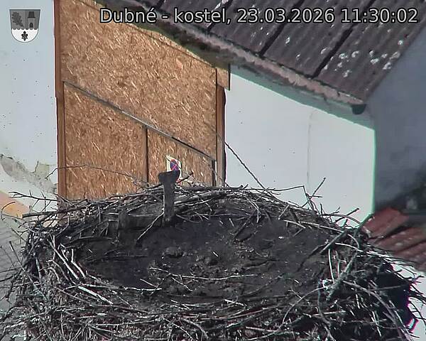 Capi_Dubne_20260323_113002.jpg (1350&nbsp;x&nbsp;1080)