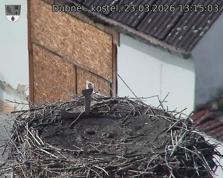 Capi_Dubne_20260323_131503.jpg (1350&nbsp;x&nbsp;1080)