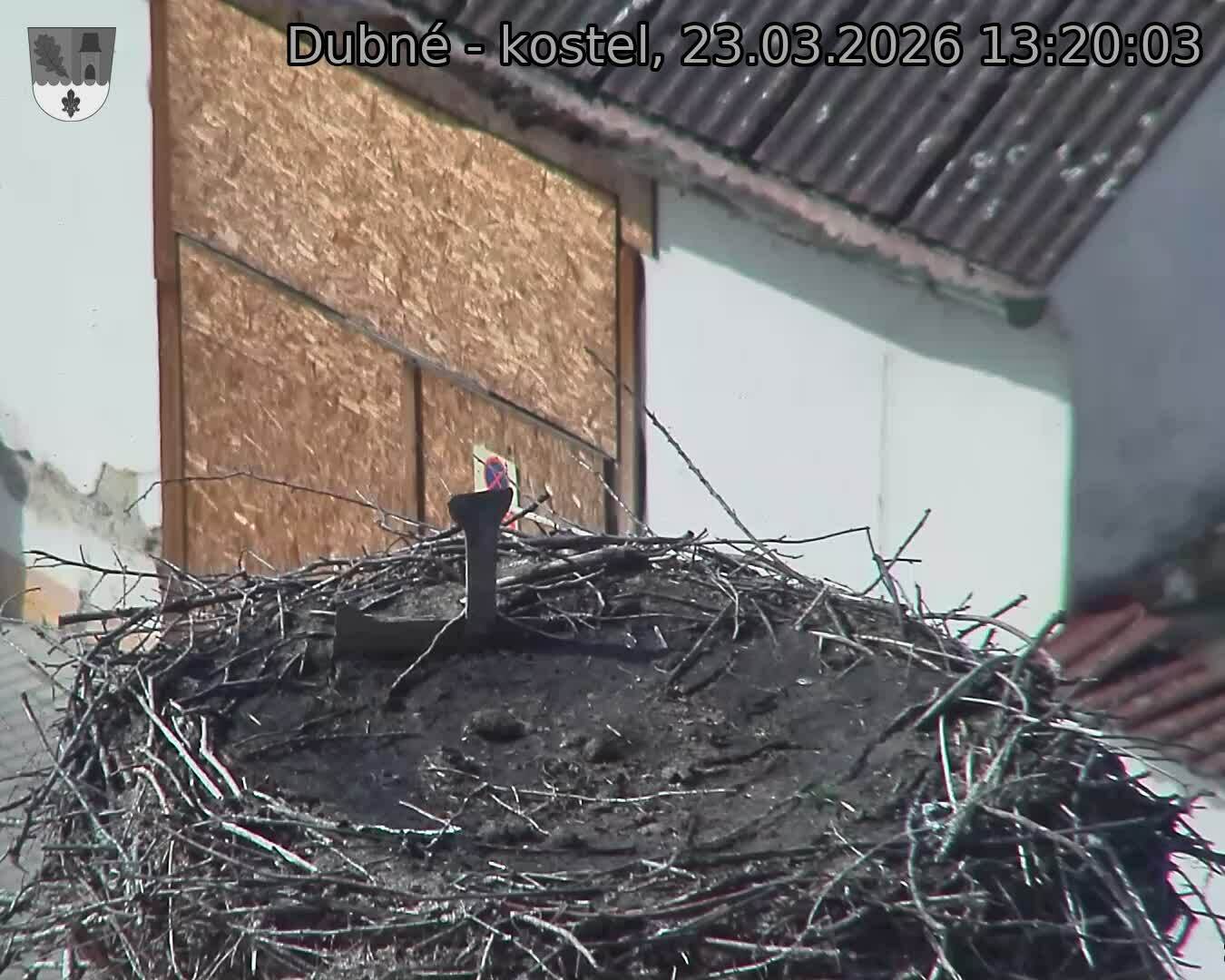 Capi_Dubne_20260323_132003.jpg (1350&nbsp;x&nbsp;1080)