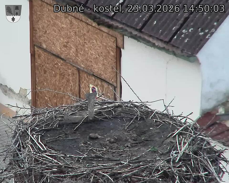 Capi_Dubne_20260323_145003.jpg (1350&nbsp;x&nbsp;1080)