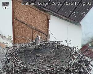 Capi_Dubne_20260323_175003.jpg (1350&nbsp;x&nbsp;1080)