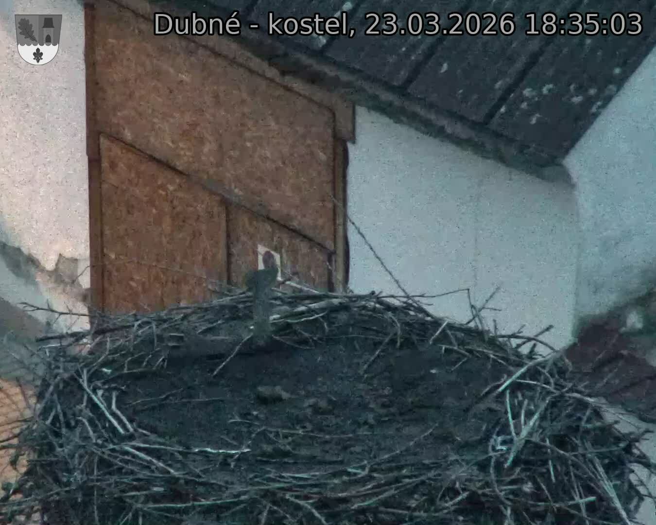 Capi_Dubne_20260323_183503.jpg (1350&nbsp;x&nbsp;1080)