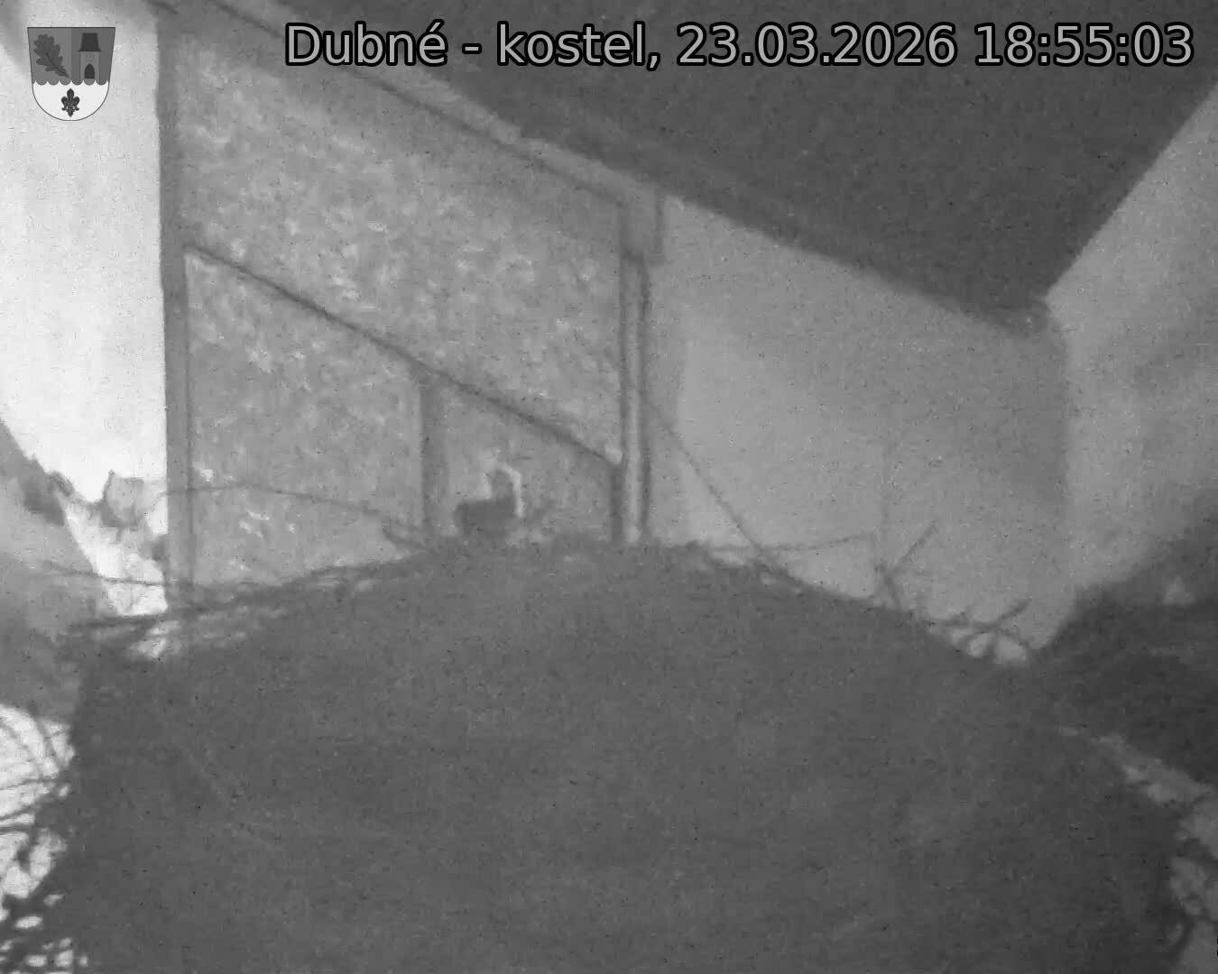 Capi_Dubne_20260323_185503.jpg (1350&nbsp;x&nbsp;1080)