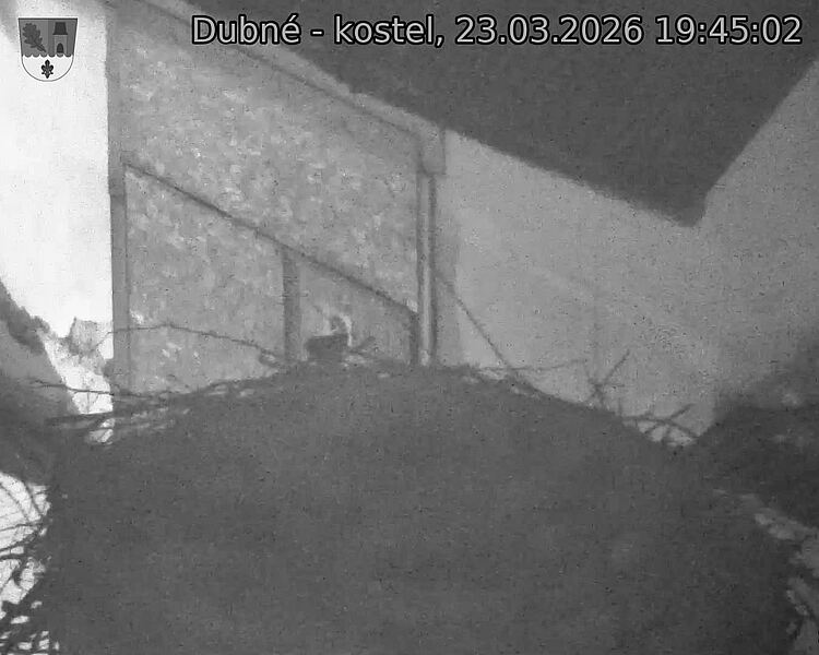 Capi_Dubne_20260323_194502.jpg (1350&nbsp;x&nbsp;1080)