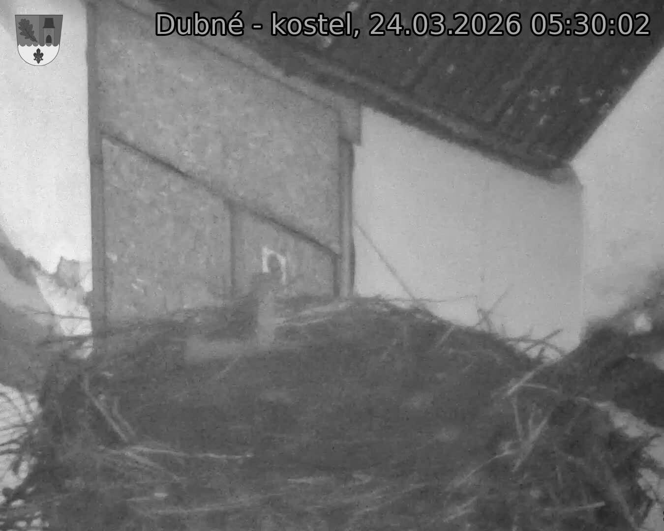Capi_Dubne_20260324_053002.jpg (1350&nbsp;x&nbsp;1080)