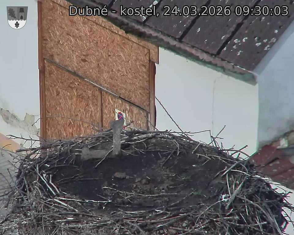Capi_Dubne_20260324_093003.jpg (1350&nbsp;x&nbsp;1080)