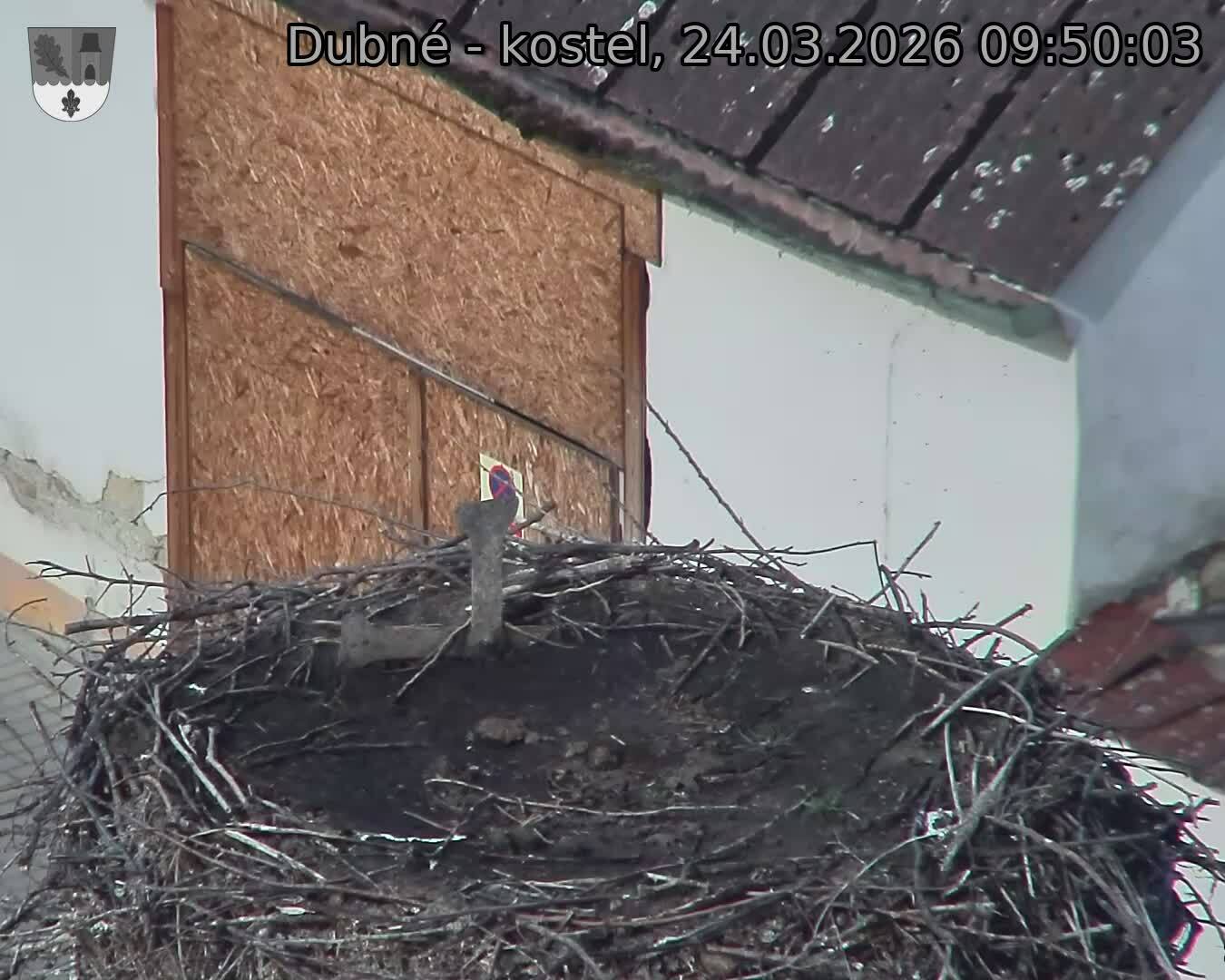 Capi_Dubne_20260324_095003.jpg (1350&nbsp;x&nbsp;1080)