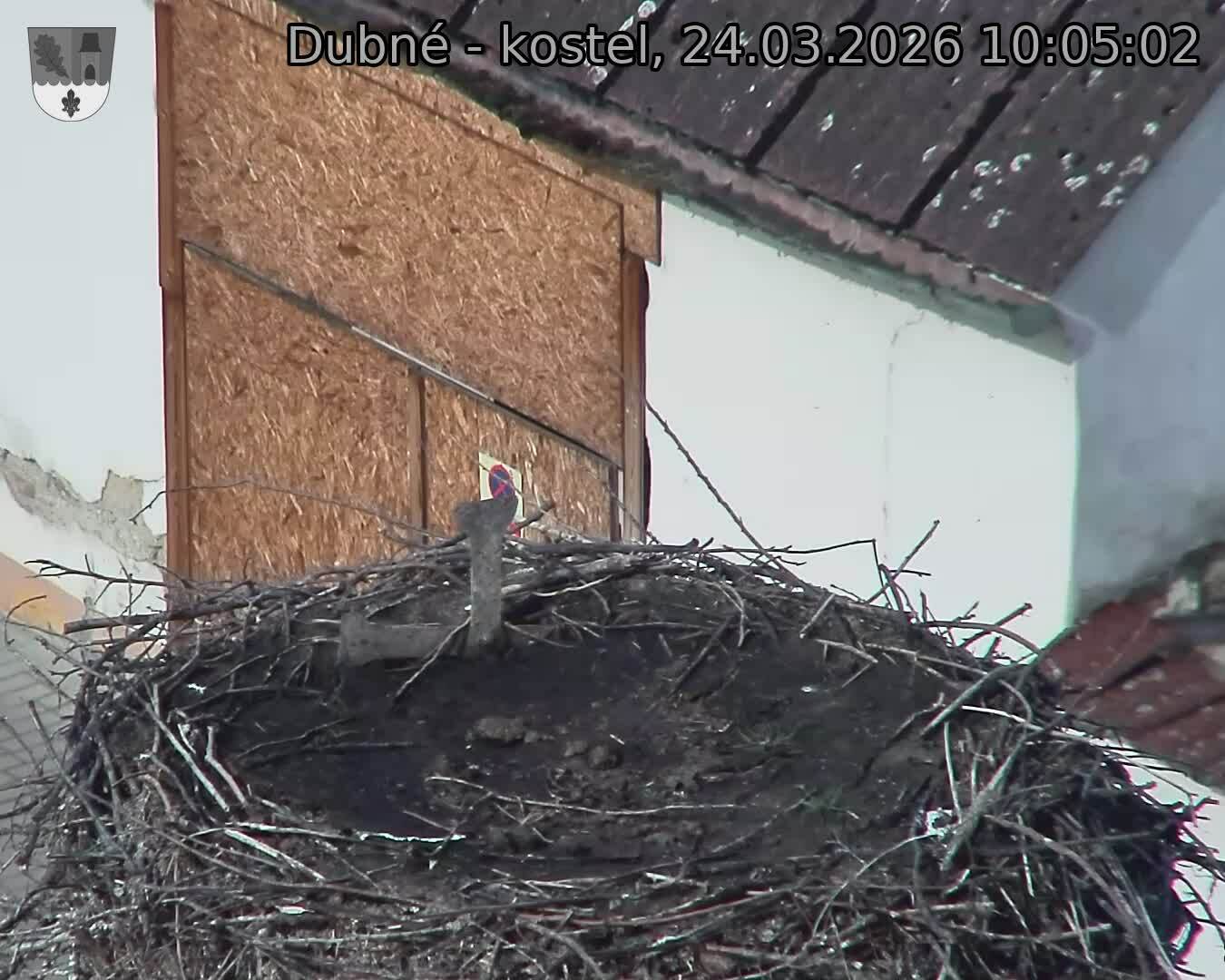 Capi_Dubne_20260324_100502.jpg (1350&nbsp;x&nbsp;1080)