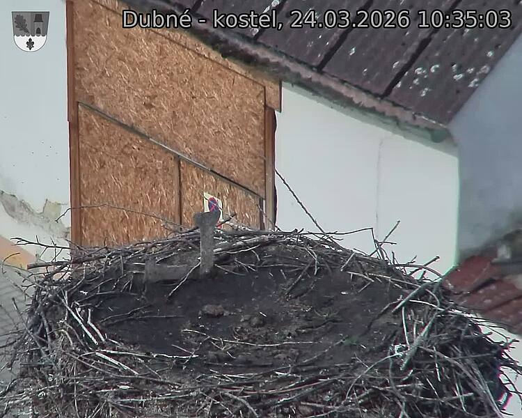 Capi_Dubne_20260324_103503.jpg (1350&nbsp;x&nbsp;1080)