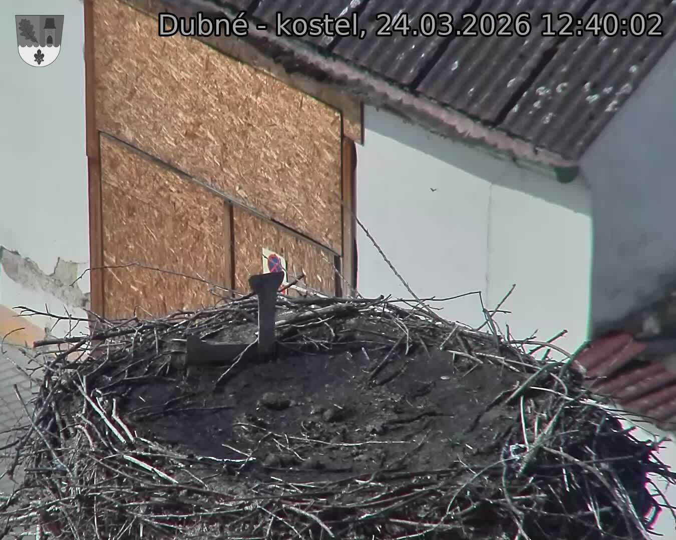 Capi_Dubne_20260324_124002.jpg (1350&nbsp;x&nbsp;1080)