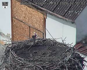 Capi_Dubne_20260324_125002.jpg (1350&nbsp;x&nbsp;1080)