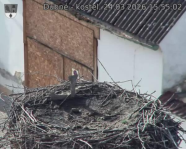 Capi_Dubne_20260324_155502.jpg (1350&nbsp;x&nbsp;1080)