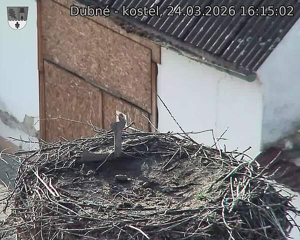 Capi_Dubne_20260324_161502.jpg (1350&nbsp;x&nbsp;1080)