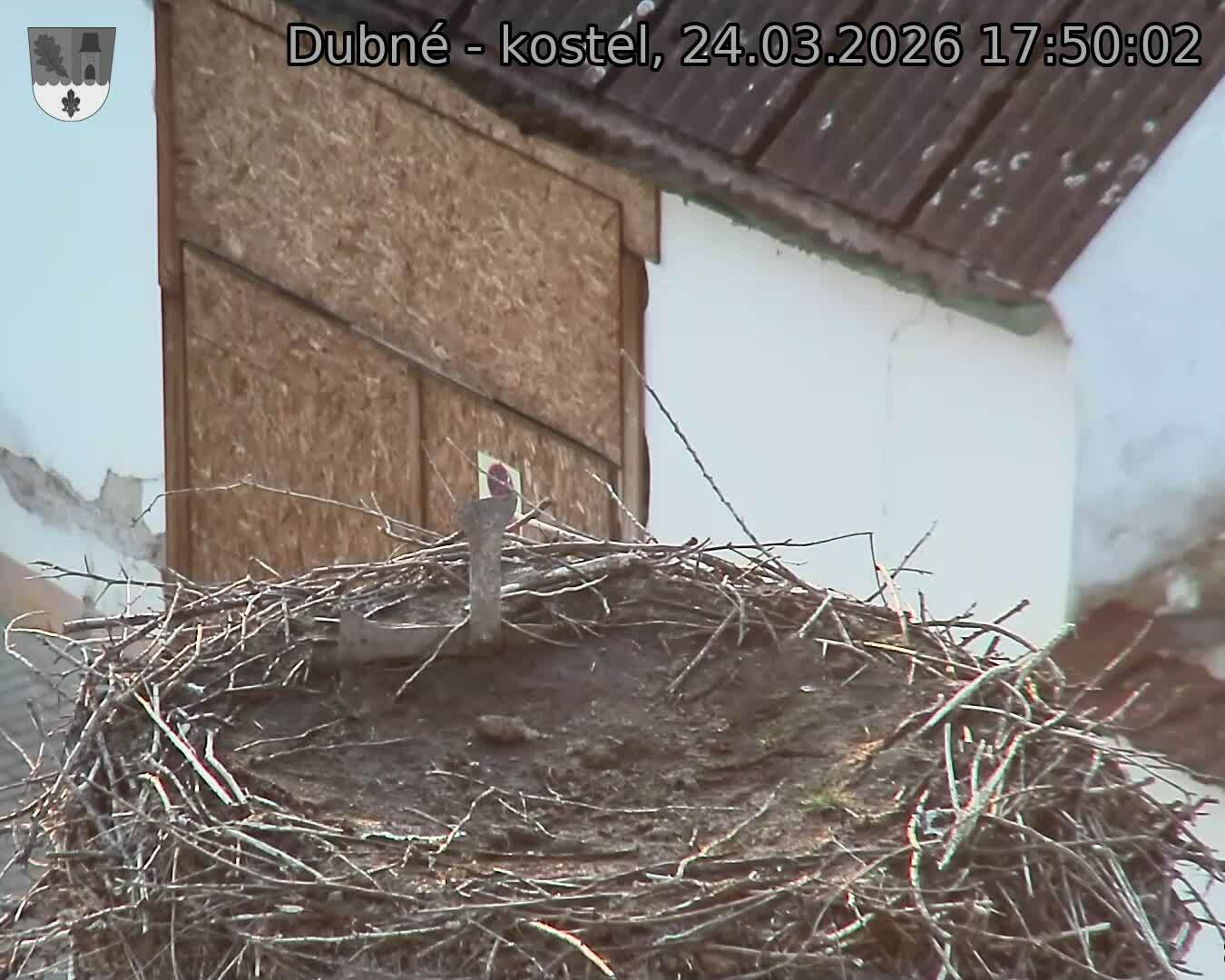 Capi_Dubne_20260324_175002.jpg (1350&nbsp;x&nbsp;1080)