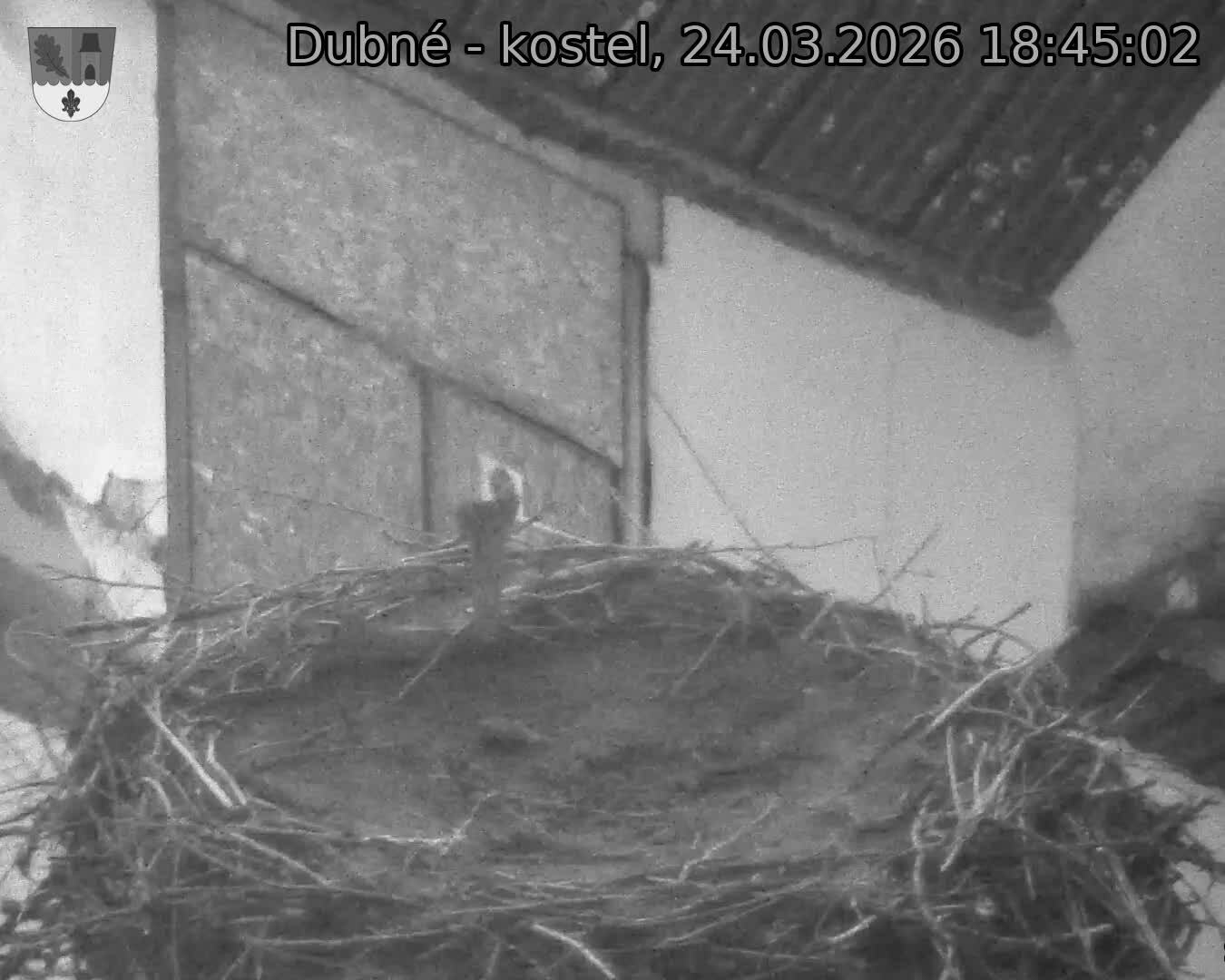 Capi_Dubne_20260324_184502.jpg (1350&nbsp;x&nbsp;1080)