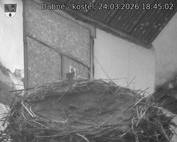 Capi_Dubne_20260324_184502.jpg (1350&nbsp;x&nbsp;1080)