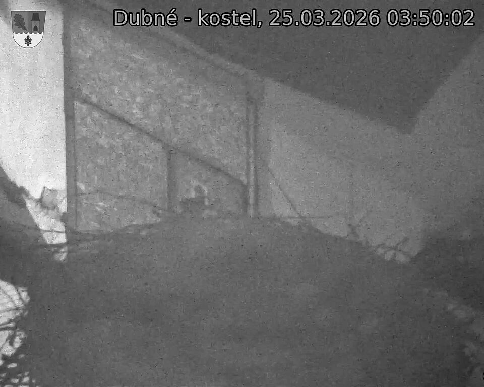 Capi_Dubne_20260325_035002.jpg (1350&nbsp;x&nbsp;1080)