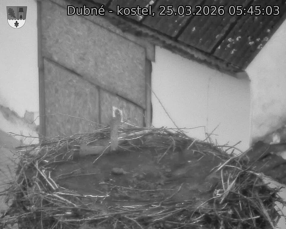 Capi_Dubne_20260325_054503.jpg (1350&nbsp;x&nbsp;1080)