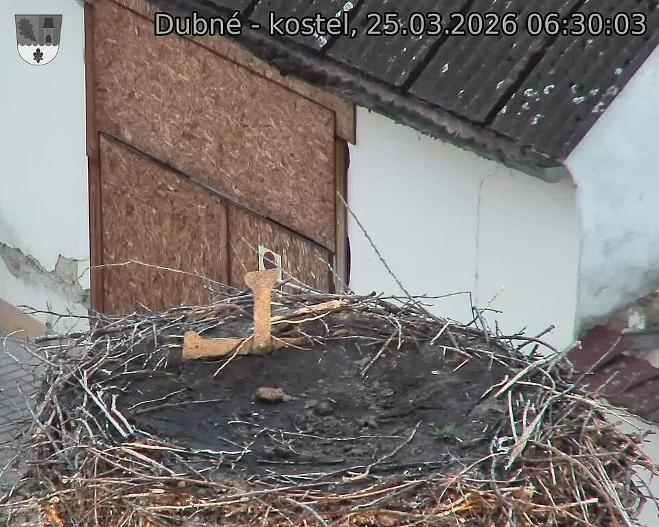 Capi_Dubne_20260325_063003.jpg (1350&nbsp;x&nbsp;1080)