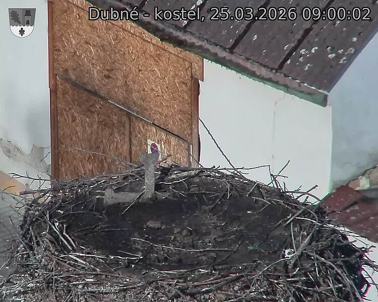 Capi_Dubne_20260325_090002.jpg (1350&nbsp;x&nbsp;1080)