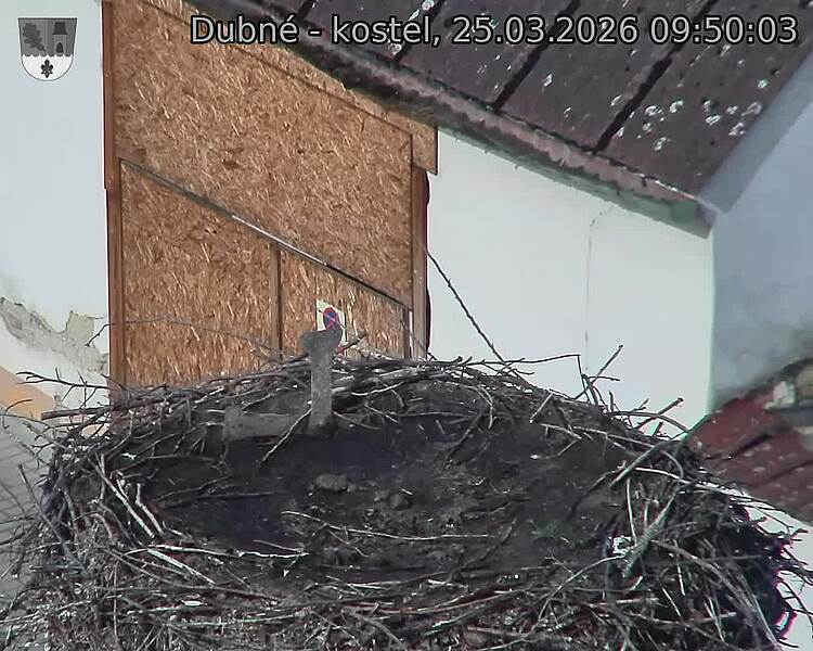 Capi_Dubne_20260325_095003.jpg (1350&nbsp;x&nbsp;1080)