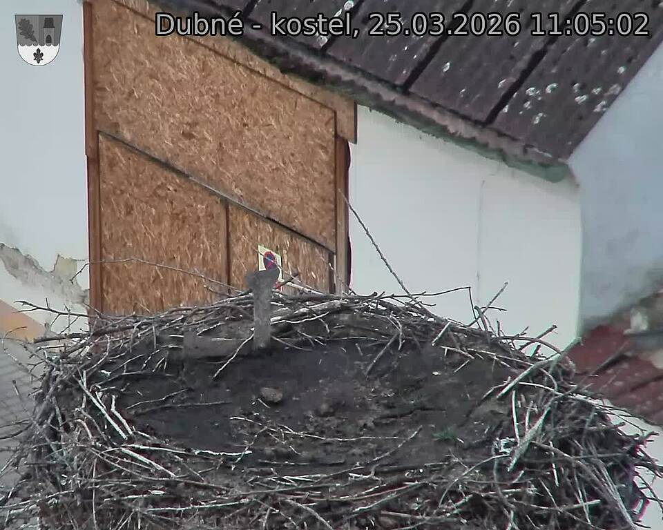 Capi_Dubne_20260325_110502.jpg (1350&nbsp;x&nbsp;1080)