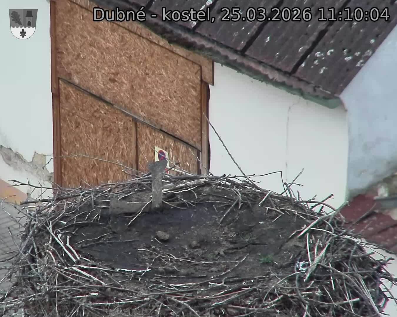 Capi_Dubne_20260325_111004.jpg (1350&nbsp;x&nbsp;1080)