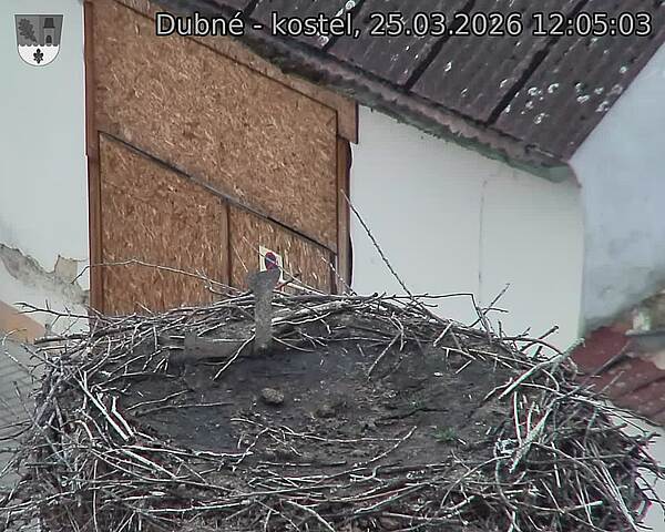 Capi_Dubne_20260325_120503.jpg (1350&nbsp;x&nbsp;1080)