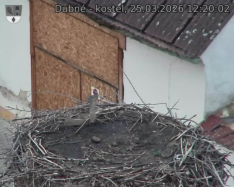 Capi_Dubne_20260325_122002.jpg (1350&nbsp;x&nbsp;1080)