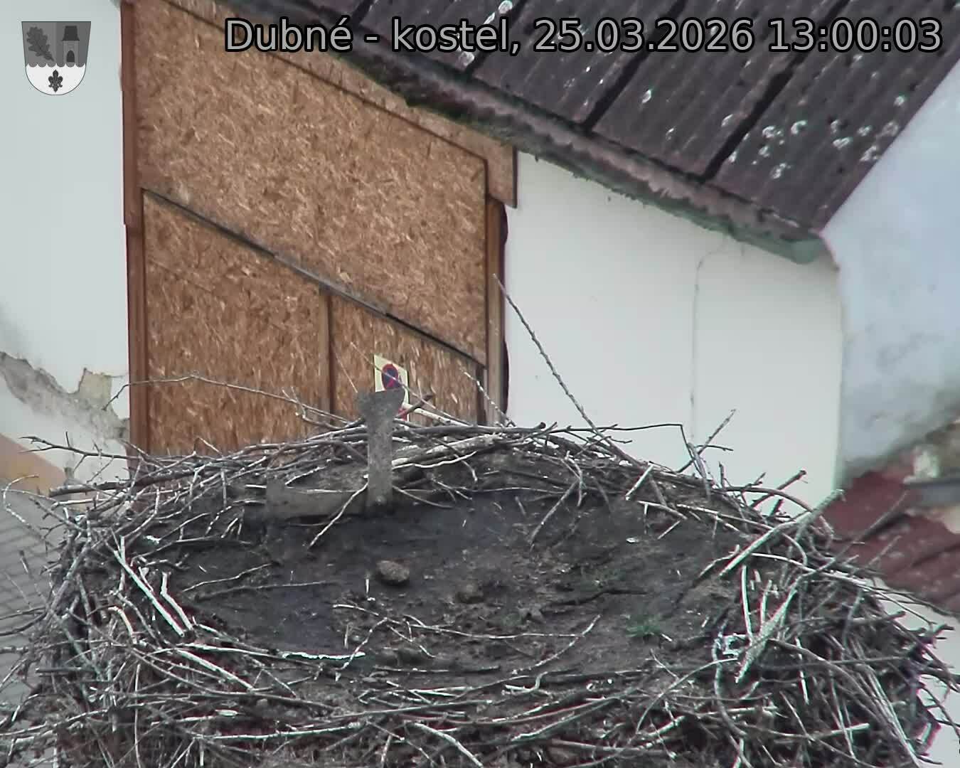 Capi_Dubne_20260325_130003.jpg (1350&nbsp;x&nbsp;1080)