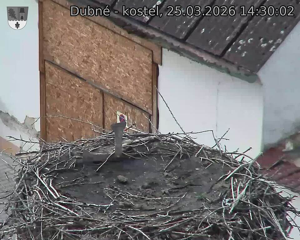 Capi_Dubne_20260325_143002.jpg (1350&nbsp;x&nbsp;1080)