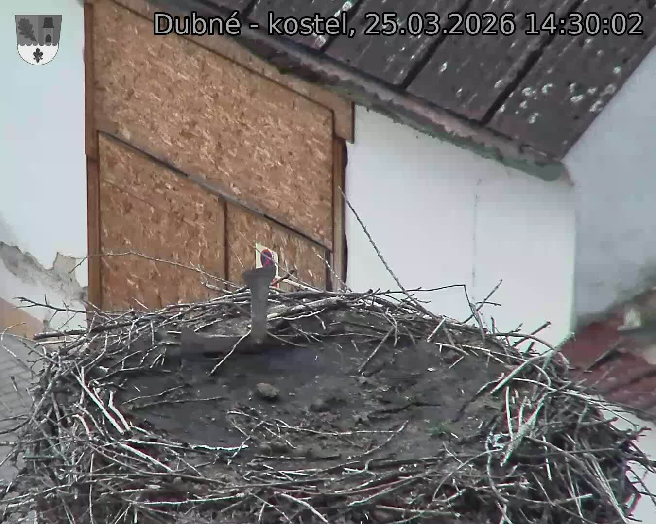 Capi_Dubne_20260325_143002.jpg (1350&nbsp;x&nbsp;1080)