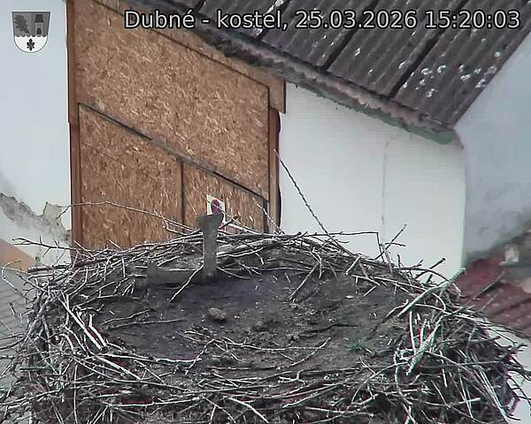 Capi_Dubne_20260325_152003.jpg (1350&nbsp;x&nbsp;1080)
