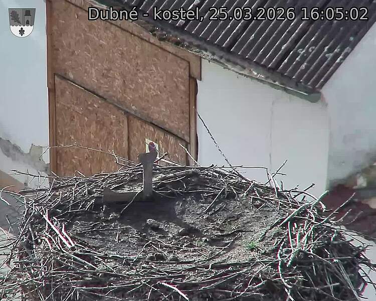 Capi_Dubne_20260325_160502.jpg (1350&nbsp;x&nbsp;1080)