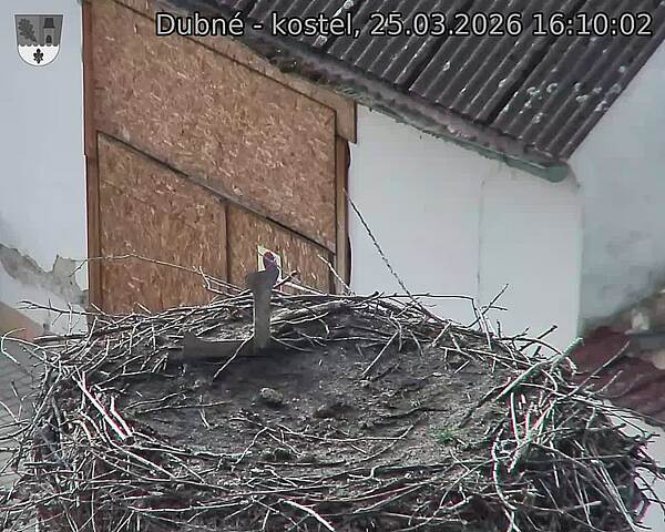 Capi_Dubne_20260325_161002.jpg (1350&nbsp;x&nbsp;1080)