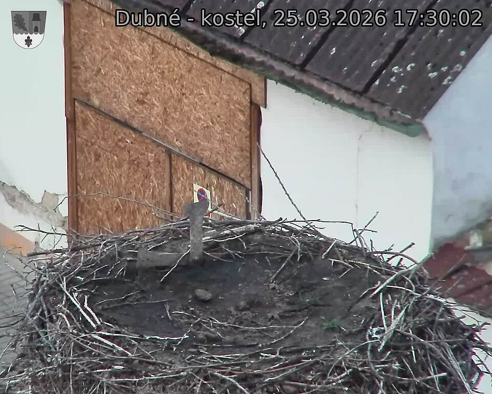Capi_Dubne_20260325_173002.jpg (1350&nbsp;x&nbsp;1080)