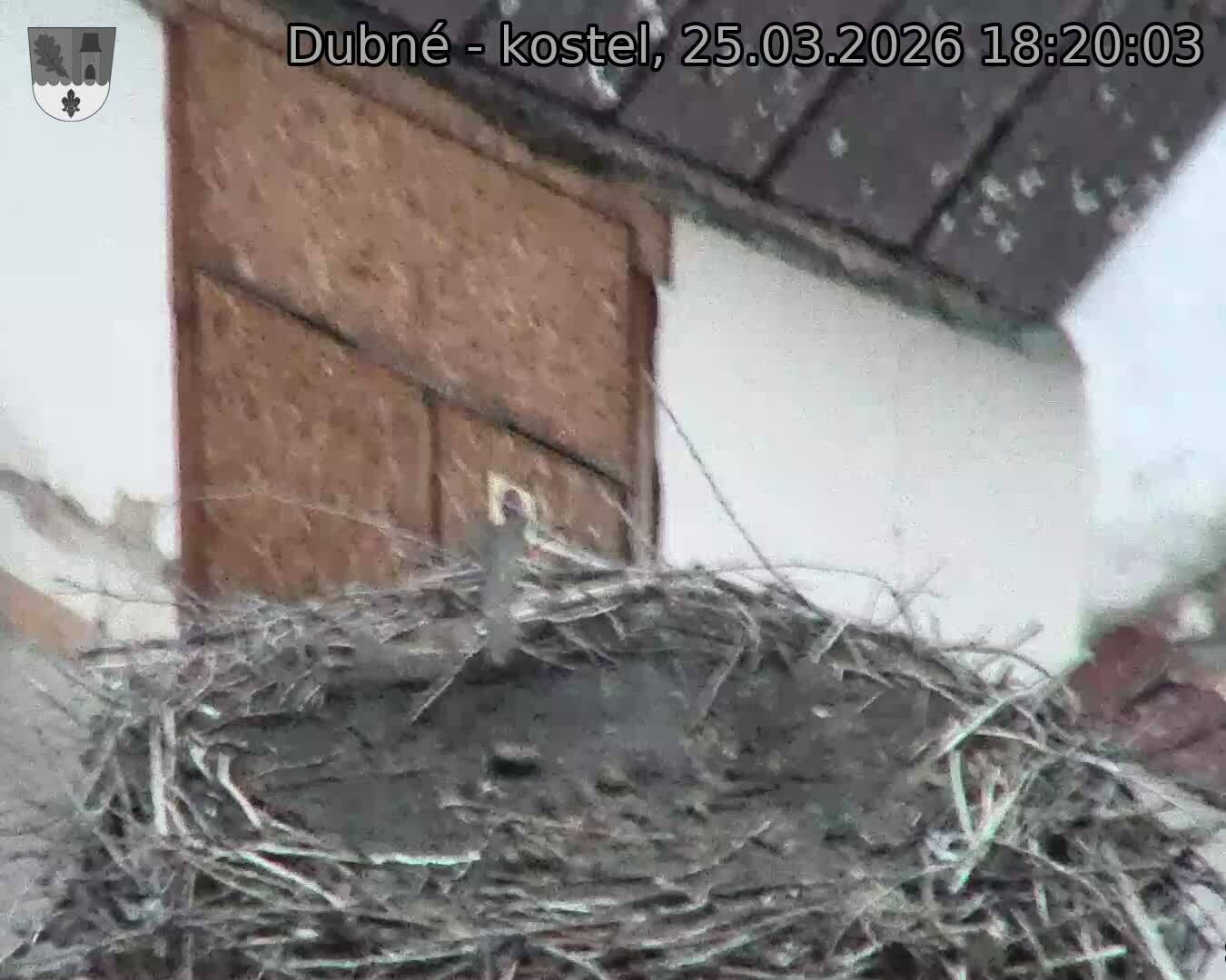 Capi_Dubne_20260325_182003.jpg (1350&nbsp;x&nbsp;1080)