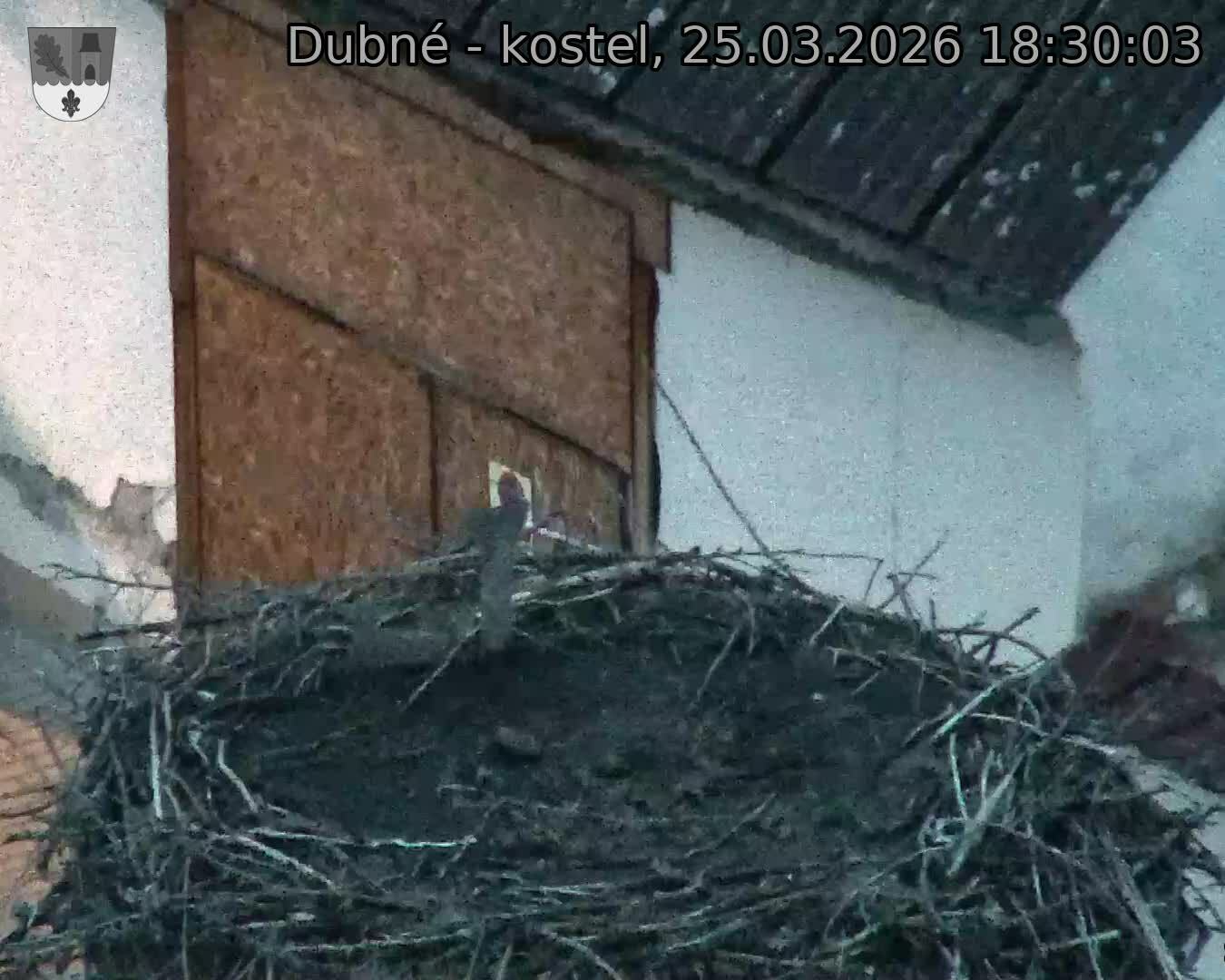 Capi_Dubne_20260325_183003.jpg (1350&nbsp;x&nbsp;1080)