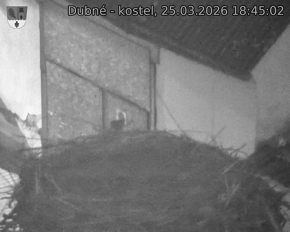 Capi_Dubne_20260325_184502.jpg (1350&nbsp;x&nbsp;1080)