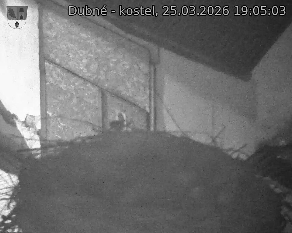 Capi_Dubne_20260325_190503.jpg (1350&nbsp;x&nbsp;1080)