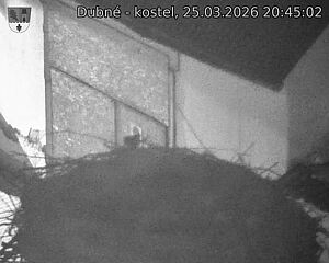 Capi_Dubne_20260325_204502.jpg (1350&nbsp;x&nbsp;1080)