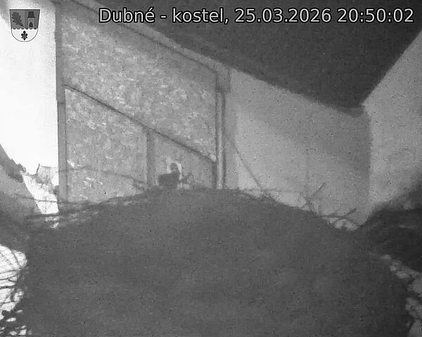 Capi_Dubne_20260325_205002.jpg (1350&nbsp;x&nbsp;1080)