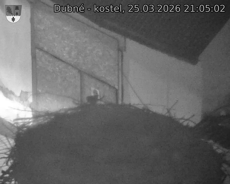 Capi_Dubne_20260325_210502.jpg (1350&nbsp;x&nbsp;1080)
