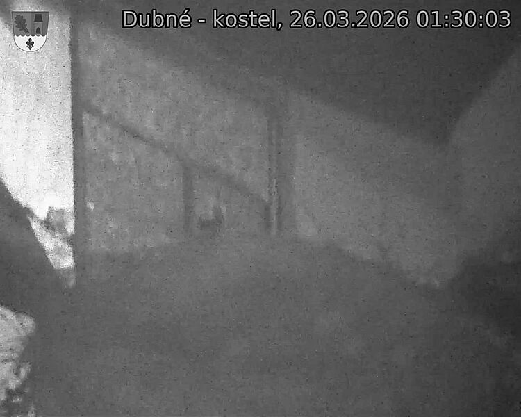 Capi_Dubne_20260326_013003.jpg (1350&nbsp;x&nbsp;1080)