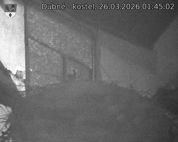 Capi_Dubne_20260326_014502.jpg (1350&nbsp;x&nbsp;1080)