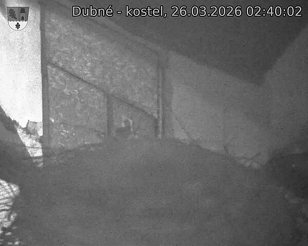 Capi_Dubne_20260326_024002.jpg (1350&nbsp;x&nbsp;1080)